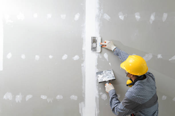 Best Basement Mold Removal  in Hermiston, OR