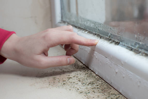 Best Forensic Mold Investigation  in Hermiston, OR