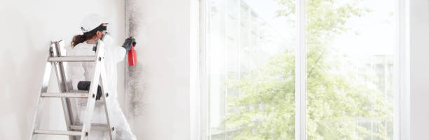 Trusted Hermiston, OR Mold Removal Experts