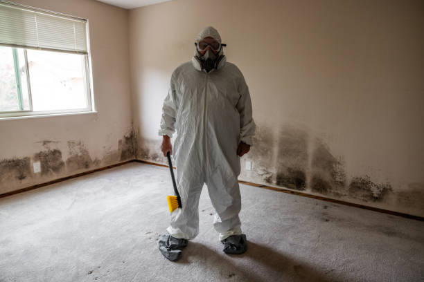 Best Emergency Mold Remediation  in Hermiston, OR